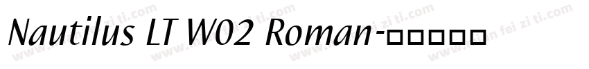 Nautilus LT W02 Roman字体转换